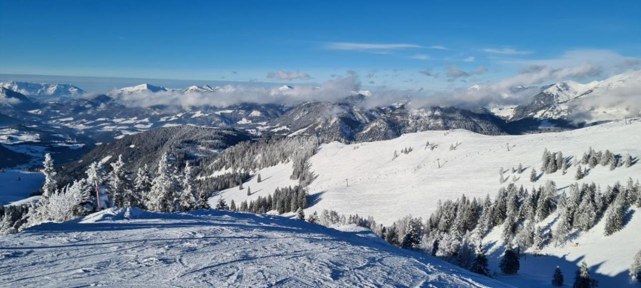 Apartamento Alpenhaus Donnerkogel Annaberg im Lammertal Exterior foto